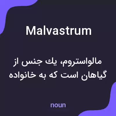 معنی malvastrum به فارسی معنی malvastrum به فارسی