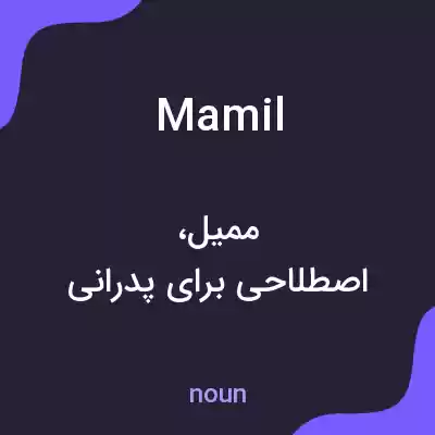 معنی mamil به فارسی معنی mamil به فارسی