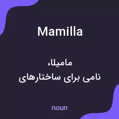 معنی mamilla به فارسی معنی mamilla به فارسی
