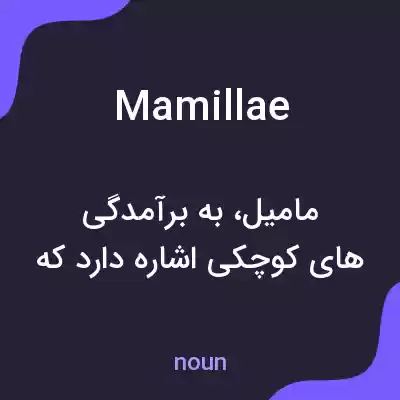 معنی mamillae به فارسی معنی mamillae به فارسی