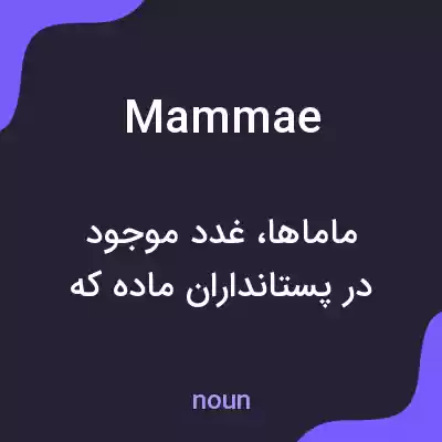 معنی mammae به فارسی