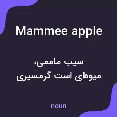 معنی mammee apple به فارسی معنی mammee apple به فارسی