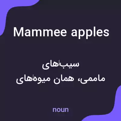معنی mammee apples به فارسی معنی mammee apples به فارسی