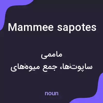 معنی mammee sapotes به فارسی معنی mammee sapotes به فارسی