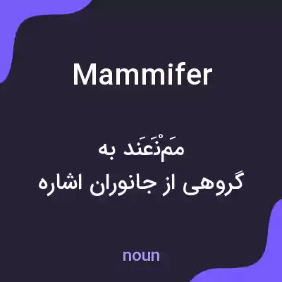 معنی mammifer به فارسی معنی mammifer به فارسی