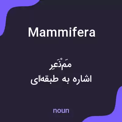 معنی mammifera به فارسی معنی mammifera به فارسی