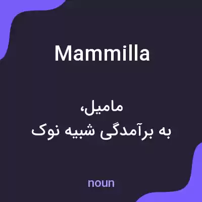 معنی mammilla به فارسی معنی mammilla به فارسی