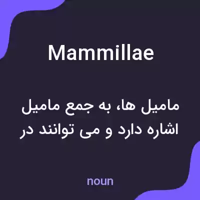 معنی mammillae به فارسی معنی mammillae به فارسی