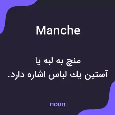 معنی manche به فارسی معنی manche به فارسی