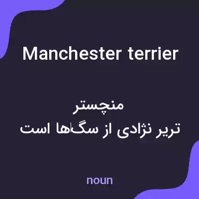 معنی manchester terrier به فارسی معنی manchester terrier به فارسی