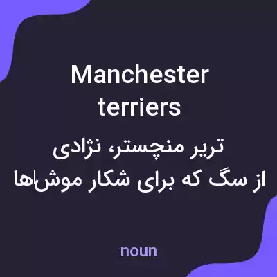 معنی manchester terriers به فارسی معنی manchester terriers به فارسی