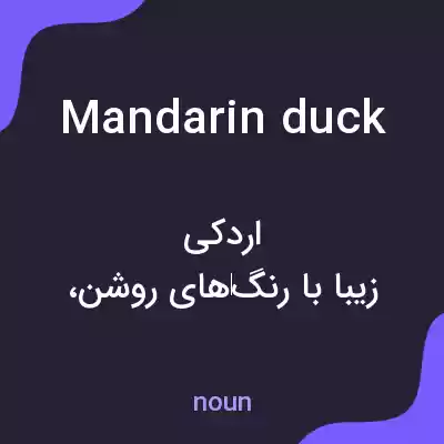 معنی mandarin duck به فارسی