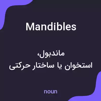 معنی mandibles به فارسی معنی mandibles به فارسی