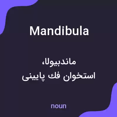 معنی mandibula به فارسی معنی mandibula به فارسی