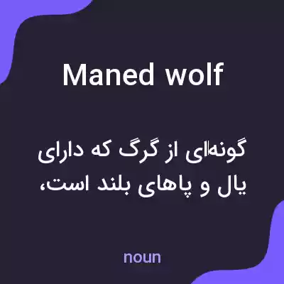 معنی maned wolf به فارسی معنی maned wolf به فارسی