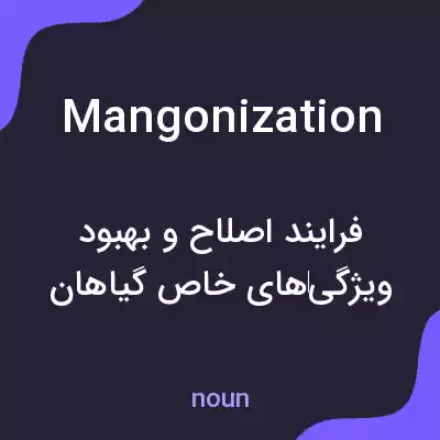 معنی mangonization به فارسی معنی mangonization به فارسی