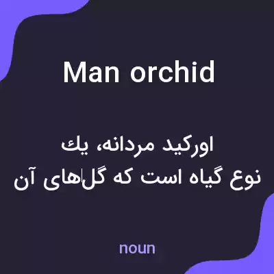 معنی man orchid به فارسی معنی man orchid به فارسی