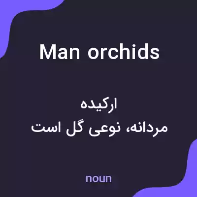 معنی man orchids به فارسی معنی man orchids به فارسی