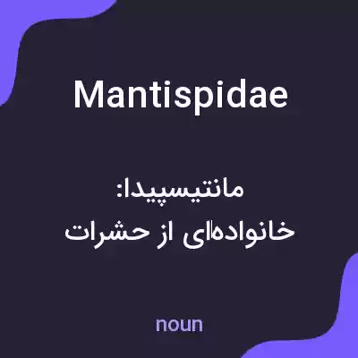 معنی mantispidae به فارسی معنی mantispidae به فارسی