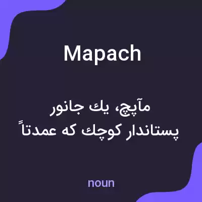 معنی mapach به فارسی معنی mapach به فارسی