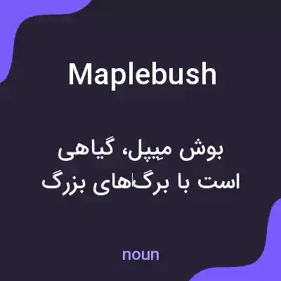 معنی maplebush به فارسی معنی maplebush به فارسی