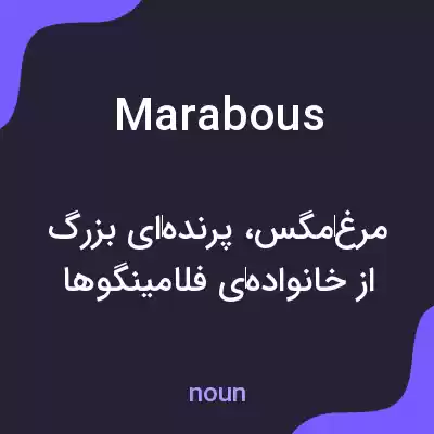 معنی marabous به فارسی معنی marabous به فارسی