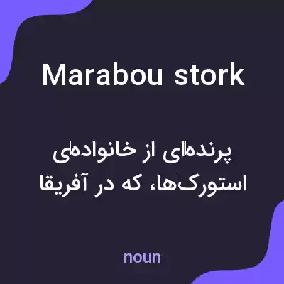 معنی marabou stork به فارسی معنی marabou stork به فارسی