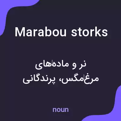 معنی marabou storks به فارسی معنی marabou storks به فارسی
