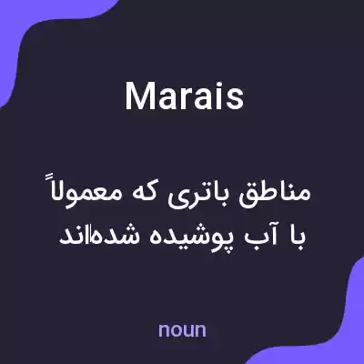 معنی marais به فارسی معنی marais به فارسی