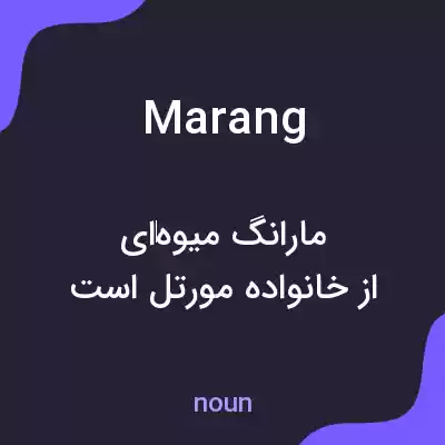 معنی marang به فارسی معنی marang به فارسی