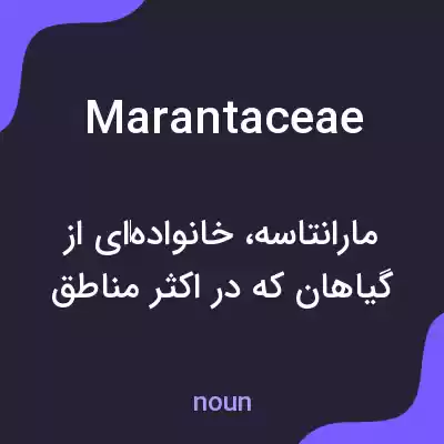 معنی marantaceae به فارسی معنی marantaceae به فارسی