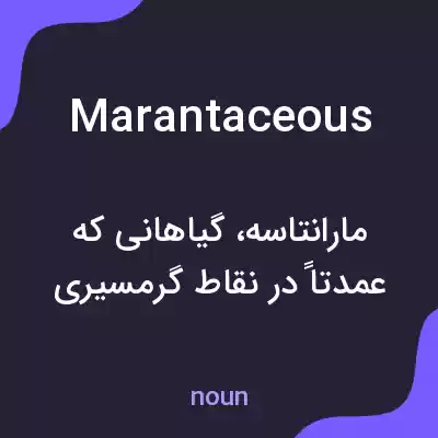 معنی marantaceous به فارسی معنی marantaceous به فارسی