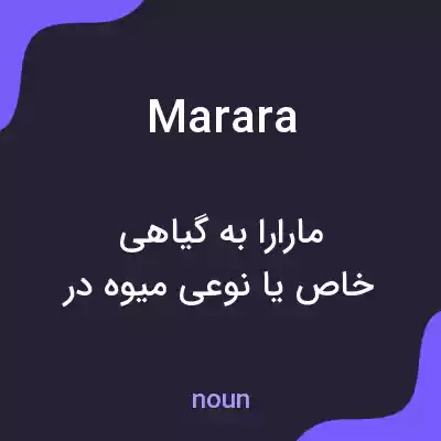 معنی marara به فارسی معنی marara به فارسی