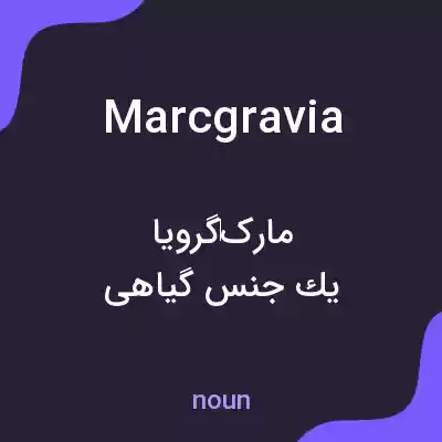 معنی marcgravia به فارسی معنی marcgravia به فارسی