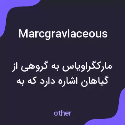 معنی marcgraviaceous به فارسی معنی marcgraviaceous به فارسی