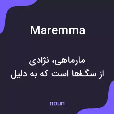 معنی maremma به فارسی معنی maremma به فارسی