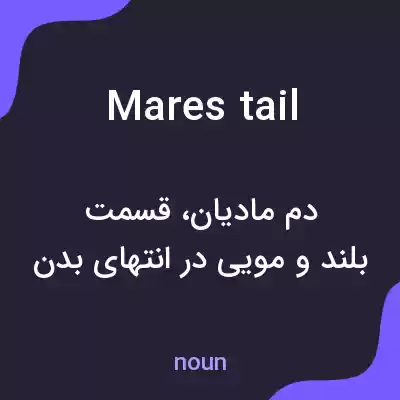معنی mares tail به فارسی معنی mares tail به فارسی
