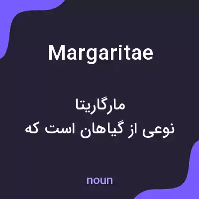 معنی margaritae به فارسی معنی margaritae به فارسی