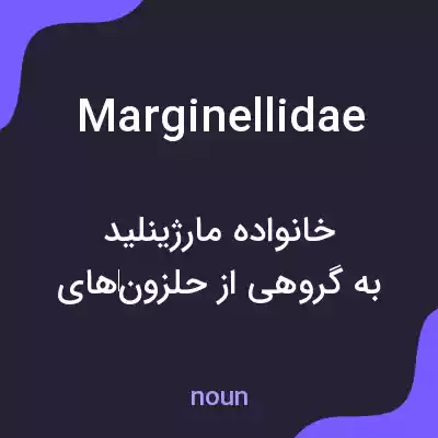 معنی marginellidae به فارسی معنی marginellidae به فارسی
