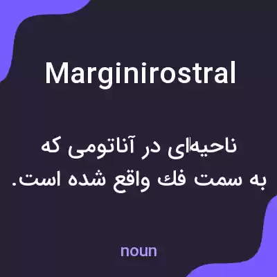 معنی marginirostral به فارسی معنی marginirostral به فارسی