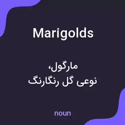 معنی marigolds به فارسی معنی marigolds به فارسی