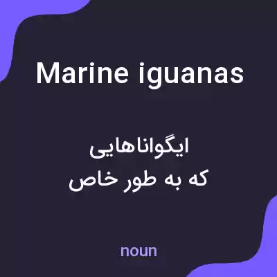 معنی marine iguanas به فارسی معنی marine iguanas به فارسی