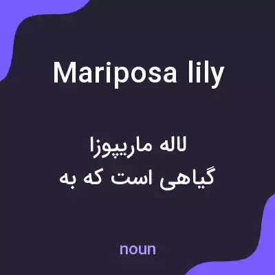 معنی mariposa lily به فارسی معنی mariposa lily به فارسی