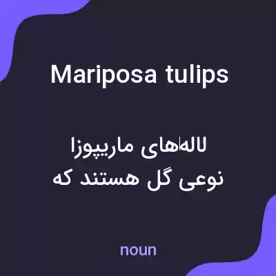 معنی mariposa tulips به فارسی معنی mariposa tulips به فارسی