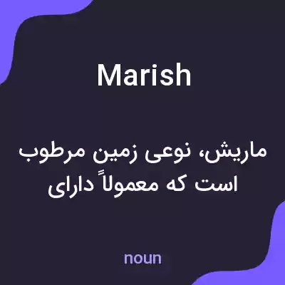 معنی marish به فارسی معنی marish به فارسی