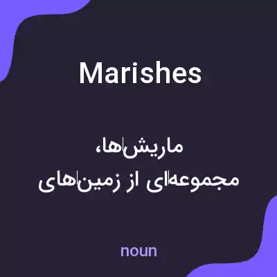 معنی marishes به فارسی معنی marishes به فارسی