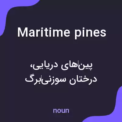 معنی maritime pines به فارسی معنی maritime pines به فارسی