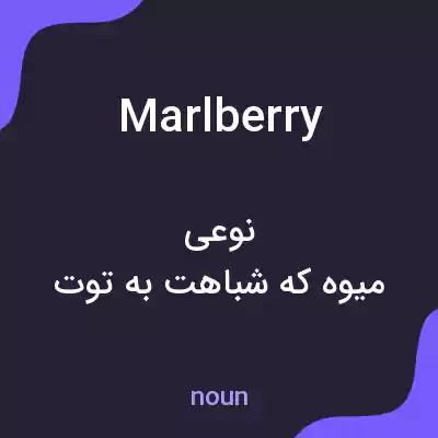 معنی marlberry به فارسی معنی marlberry به فارسی