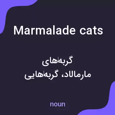 معنی marmalade cats به فارسی