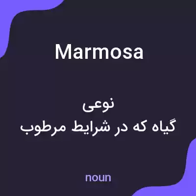 معنی marmosa به فارسی معنی marmosa به فارسی